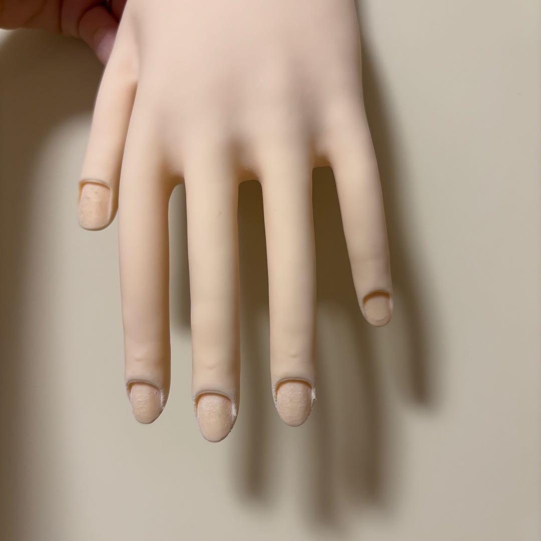 STモデルハンド　JNEC認定モデルハンド　検定