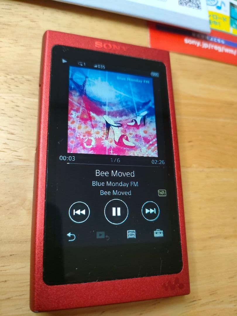 WALKMAN NW-A36（バッテリー、ディスプレイ良好）ケース2つ付き