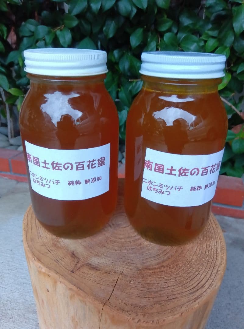 南国土佐の百花蜜　ニホンミツバチ蜂蜜　無添加　無加工　1170g2本