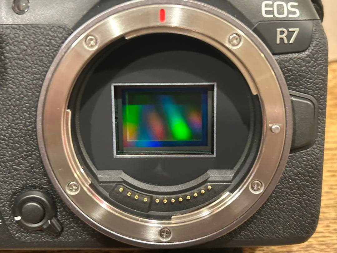 Canon EOS R7 ミラーレス一眼 18-150mmレンズ付き