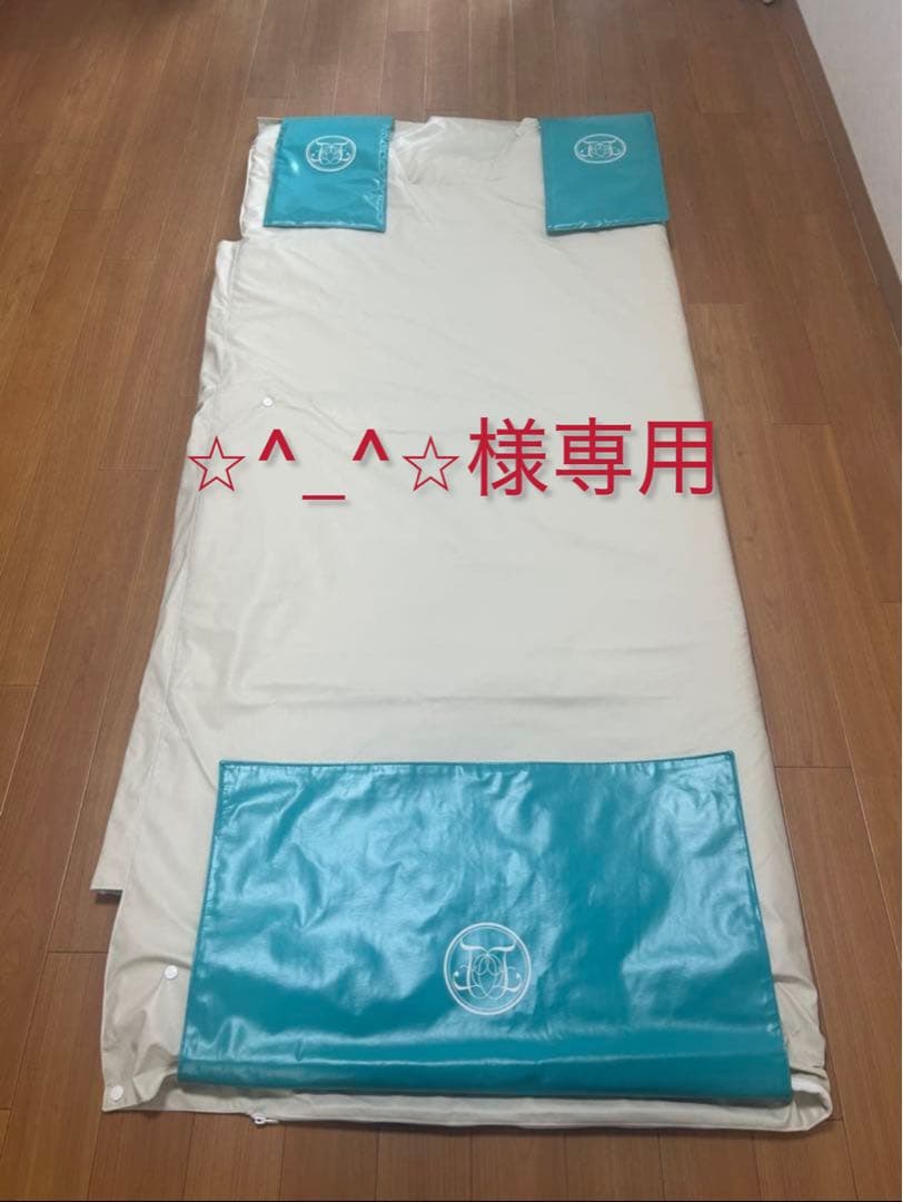 ロンヴェロップレショーファント(説明書付き)