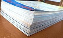 ど*。様 『将棋ジャーナル』昭和61年 1986年 10冊