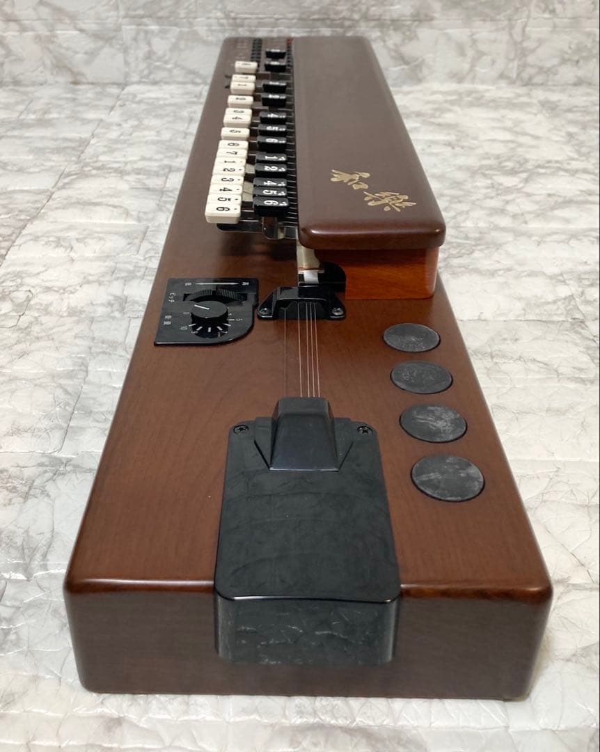 【完動品 美品】SUZUKI 電子大正琴 TES-101 16種類の音色 希少品