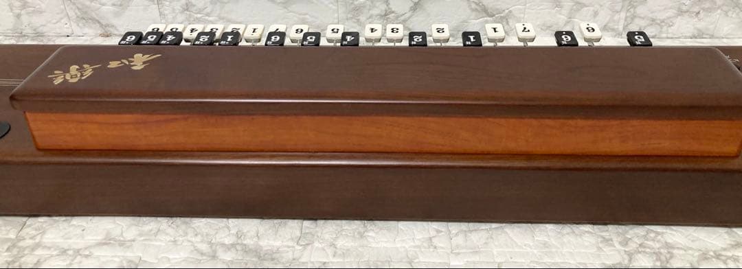 【完動品 美品】SUZUKI 電子大正琴 TES-101 16種類の音色 希少品