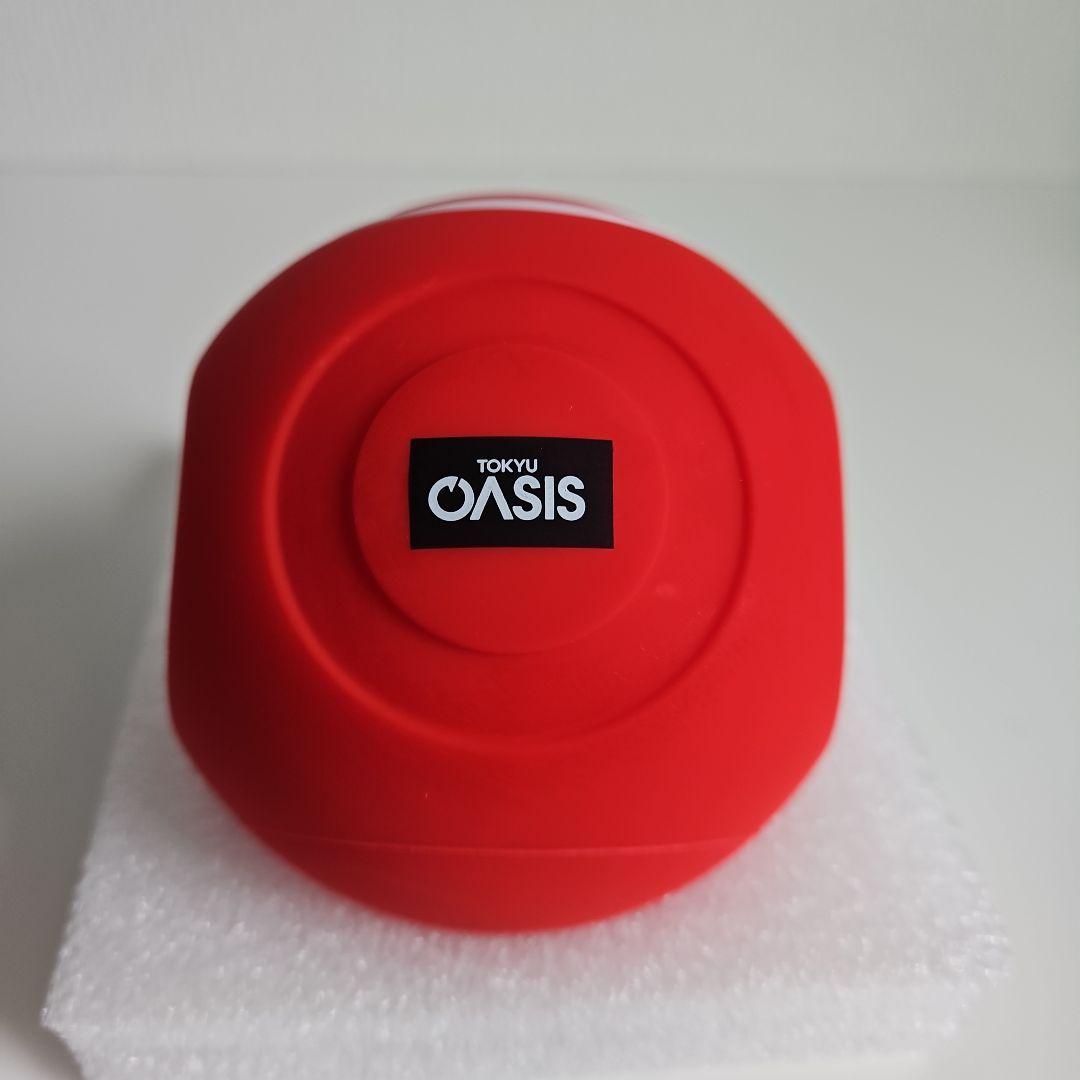 【美品】スタイリーボール SLB-100 東急スポーツオアシス