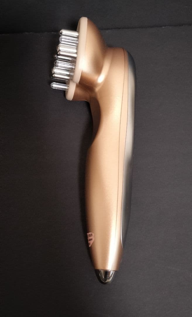 ディレイア　ゼル　 美顔器