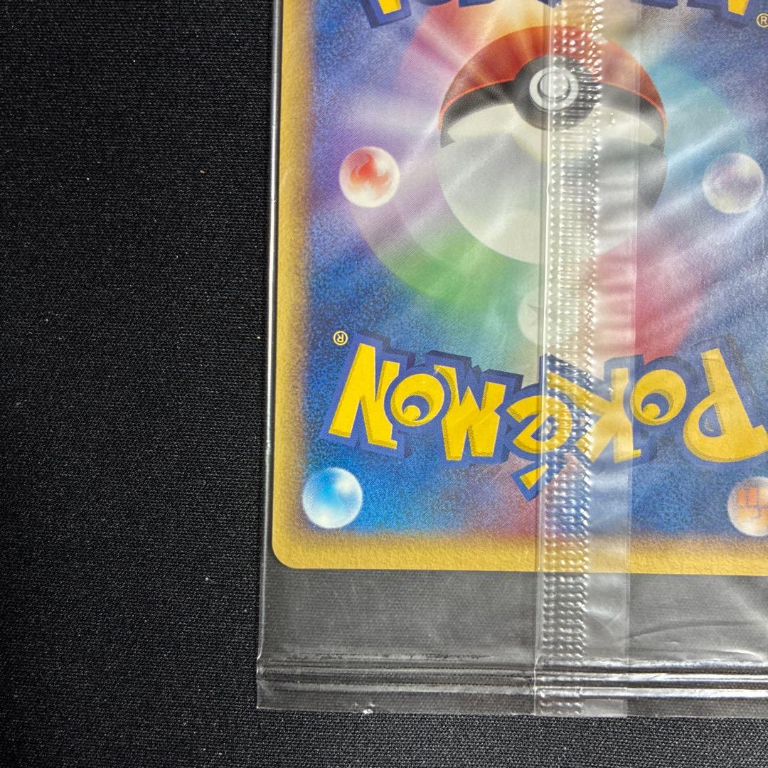 ポケパークのミズゴロウ プロモ 048/PCG-P ポケモンカード