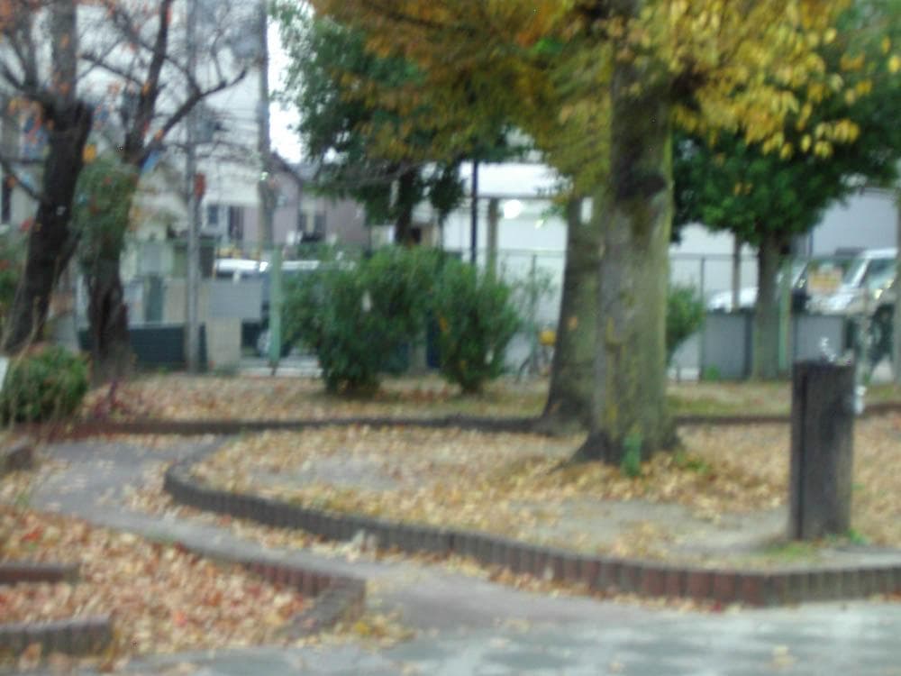 【単3電池で動く平成レトロなコンデジ】PENTAX optio M10