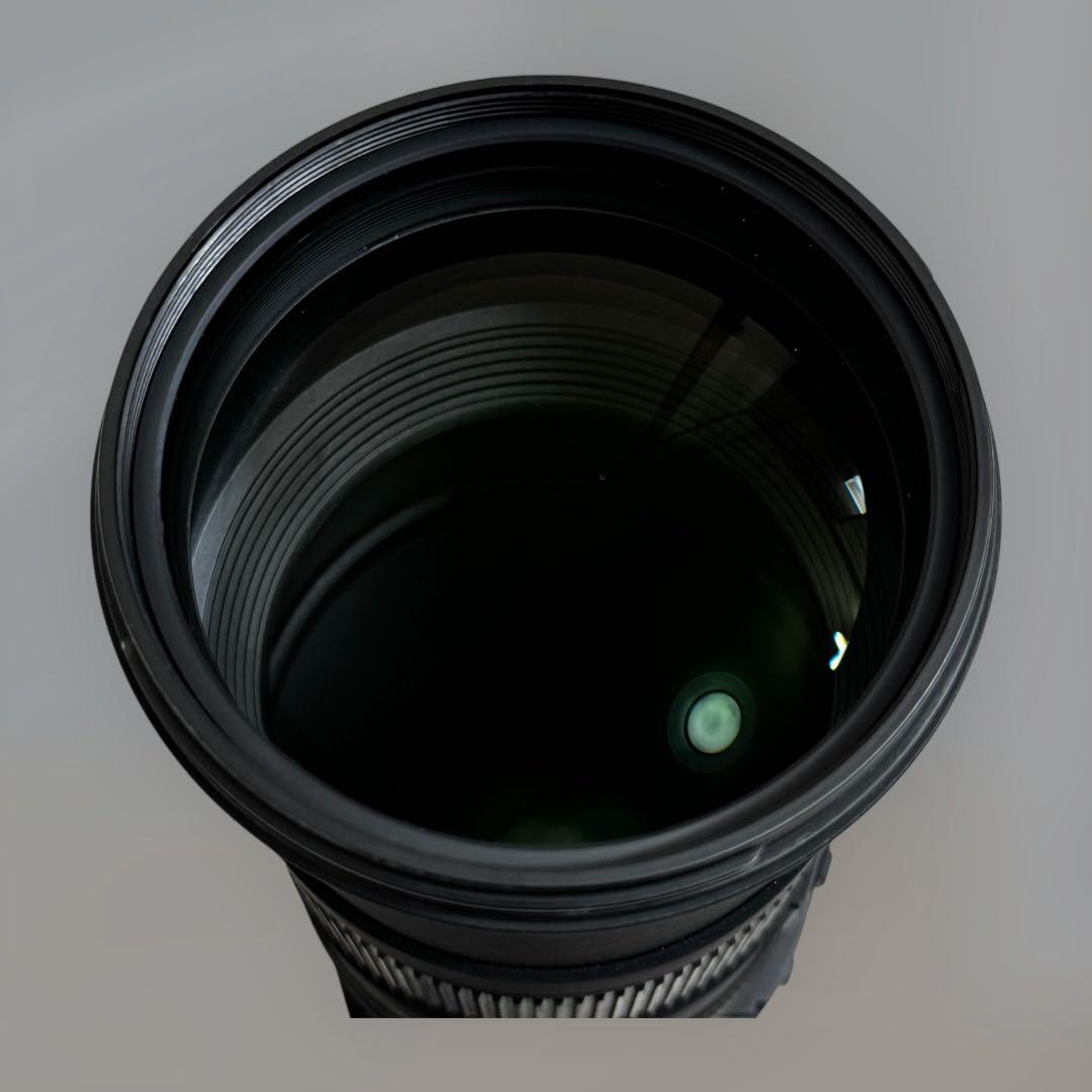 8814.シグマ APO 150-500mm F5-6.3 DG OS HSM