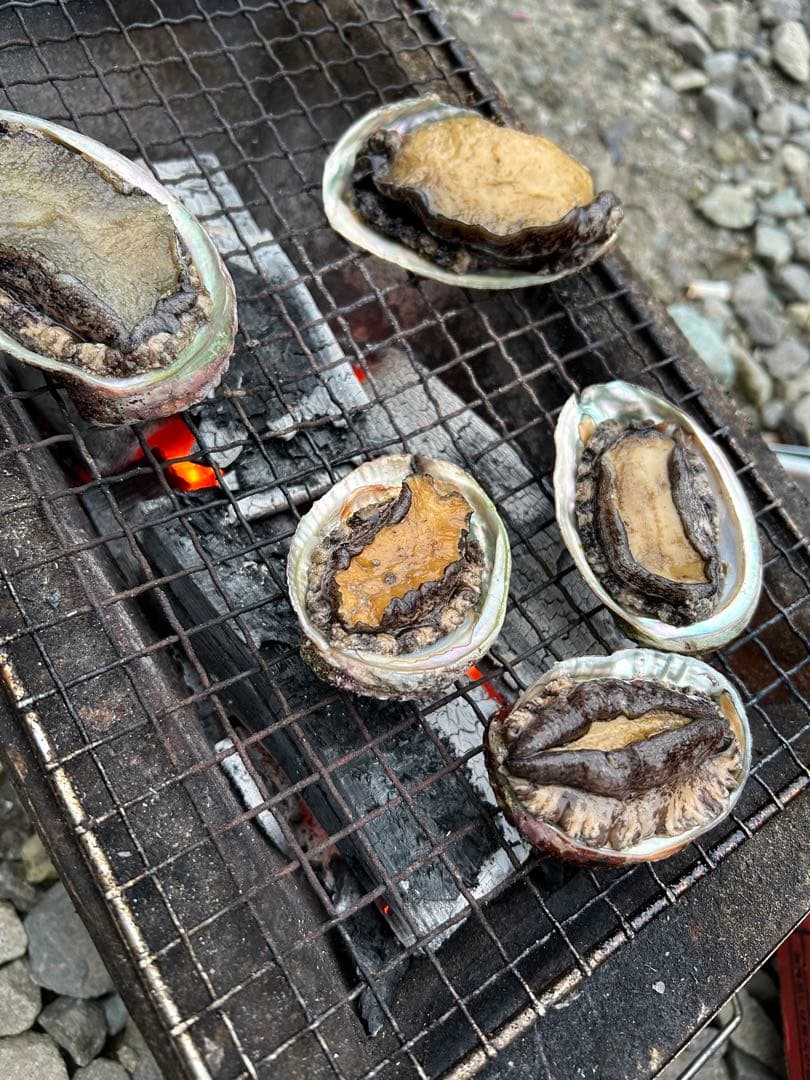 新物エゾアワビ大サイズ‼️1キロ入り‼️冷凍