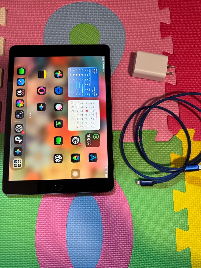 iPad本体 Apple iPad Gen 9 64GB Wi-Fi