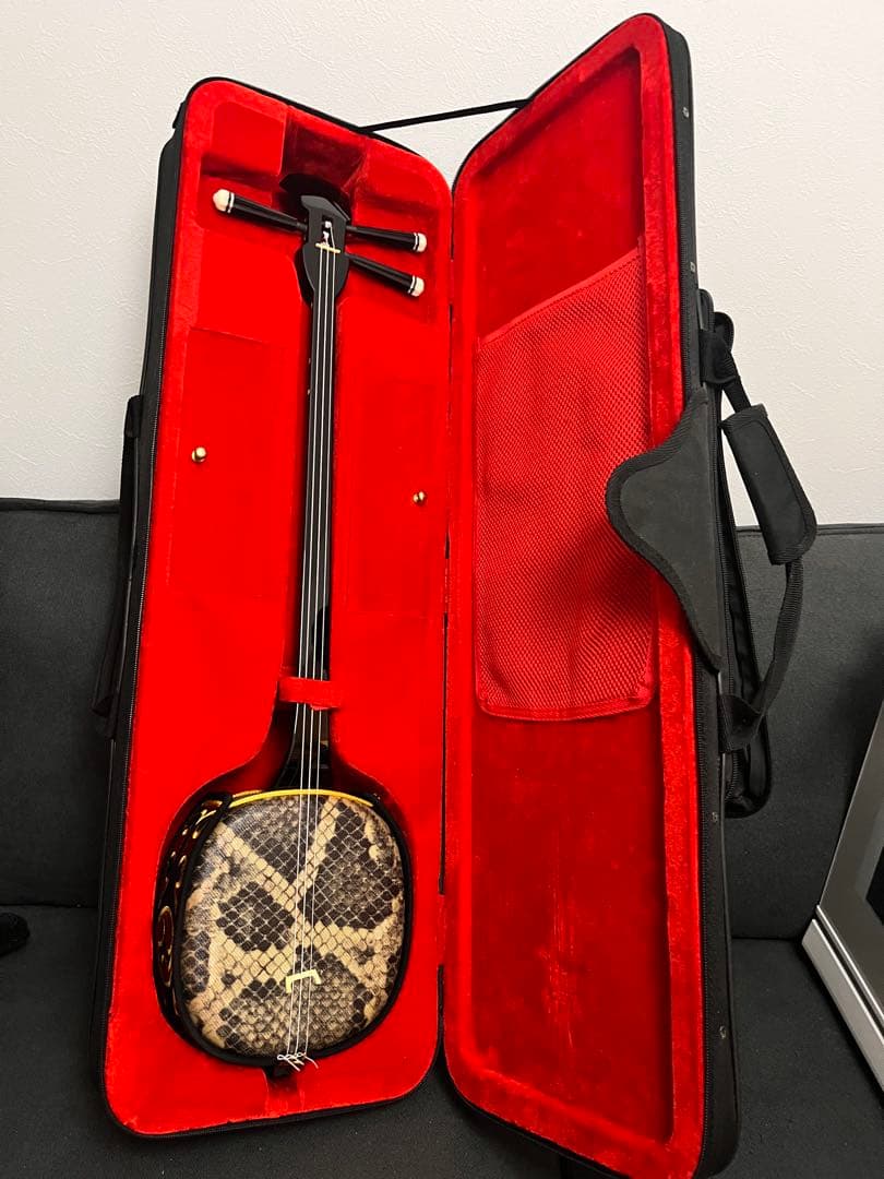 三線 沖縄 蛇革模様 ハードケース付