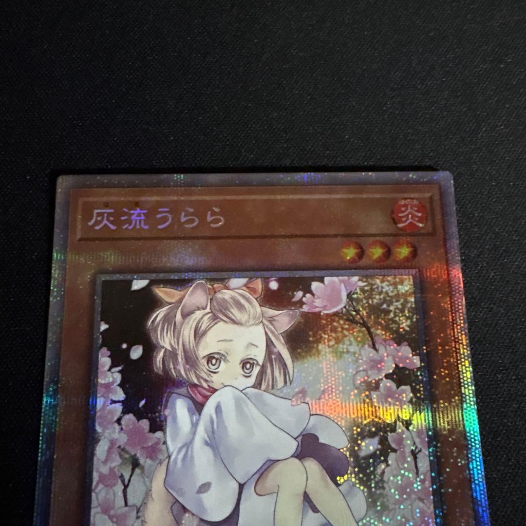 遊戯王　灰流うらら　絵違い　25thシークレットレア1枚 ①