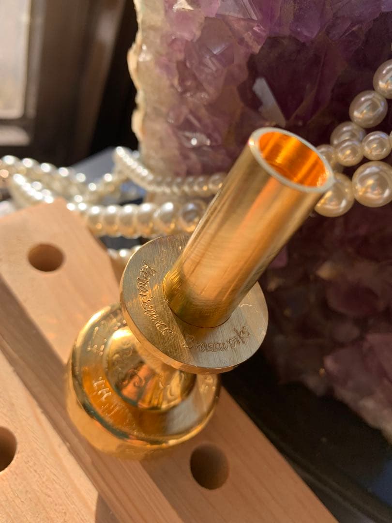 マウスピース用リング※マウスピースはつきません