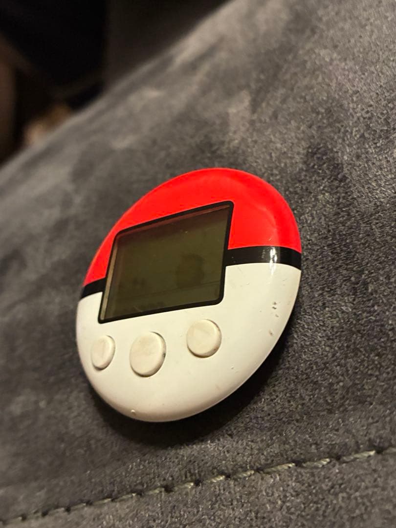 DS ポケモン　ハートゴールド　ポケウォーカー