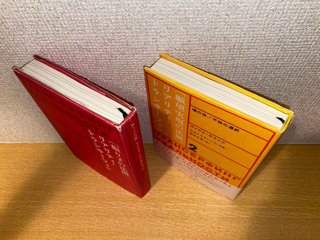 振り子の法則 リアリティ・トランサーフィン 2巻