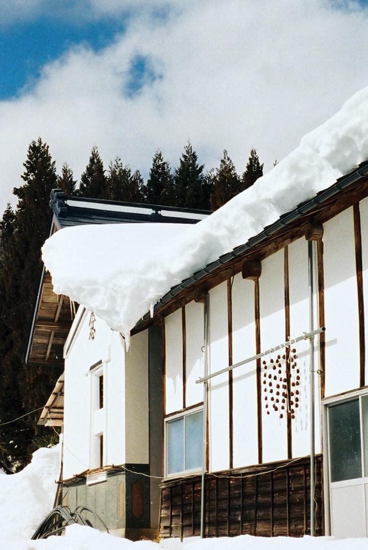 「実写確認整備品」KodakレチナⅡｃ／Retina Xenon50mmf2.8