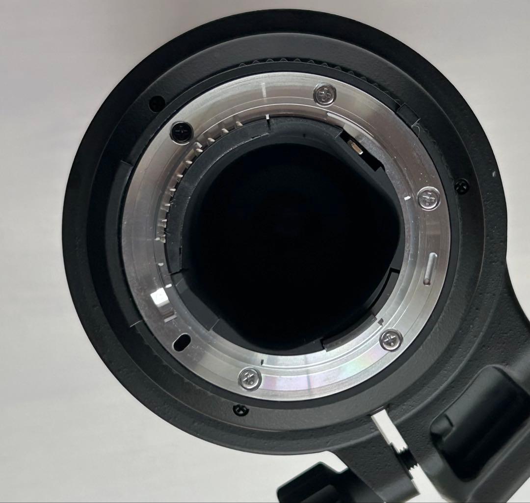 レンズ(ズーム) Nikon AF-S NIKKOR 300mm f/4D ED