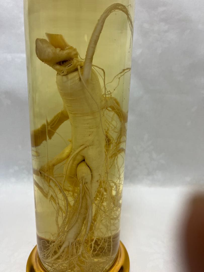 朝鮮白頭山人参古酒 薬膳酒 漢方 薬酒 健康酒 養命酒 年滋養強壮に役立つ