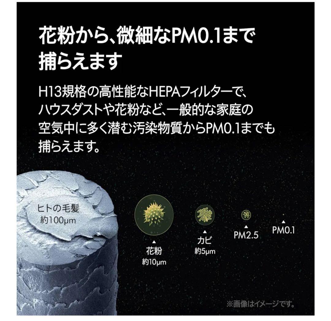 Dyson AM09 冷暖房機能付きファン　リモコンなし