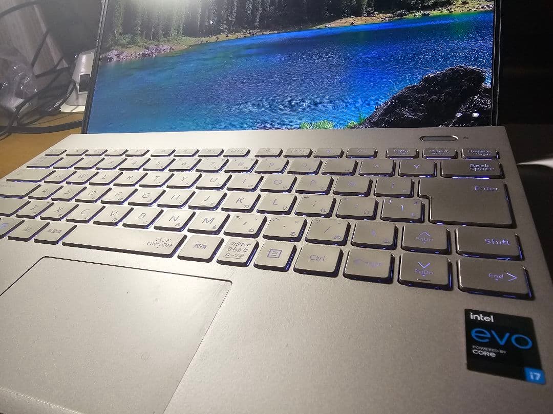 Windowsノート本体 NEC LAVIE NEXTREME Carbon PC-XC760DAG-J