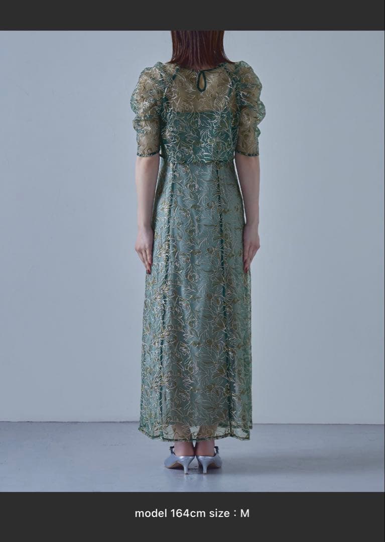 刺繍レースレイヤードドレス