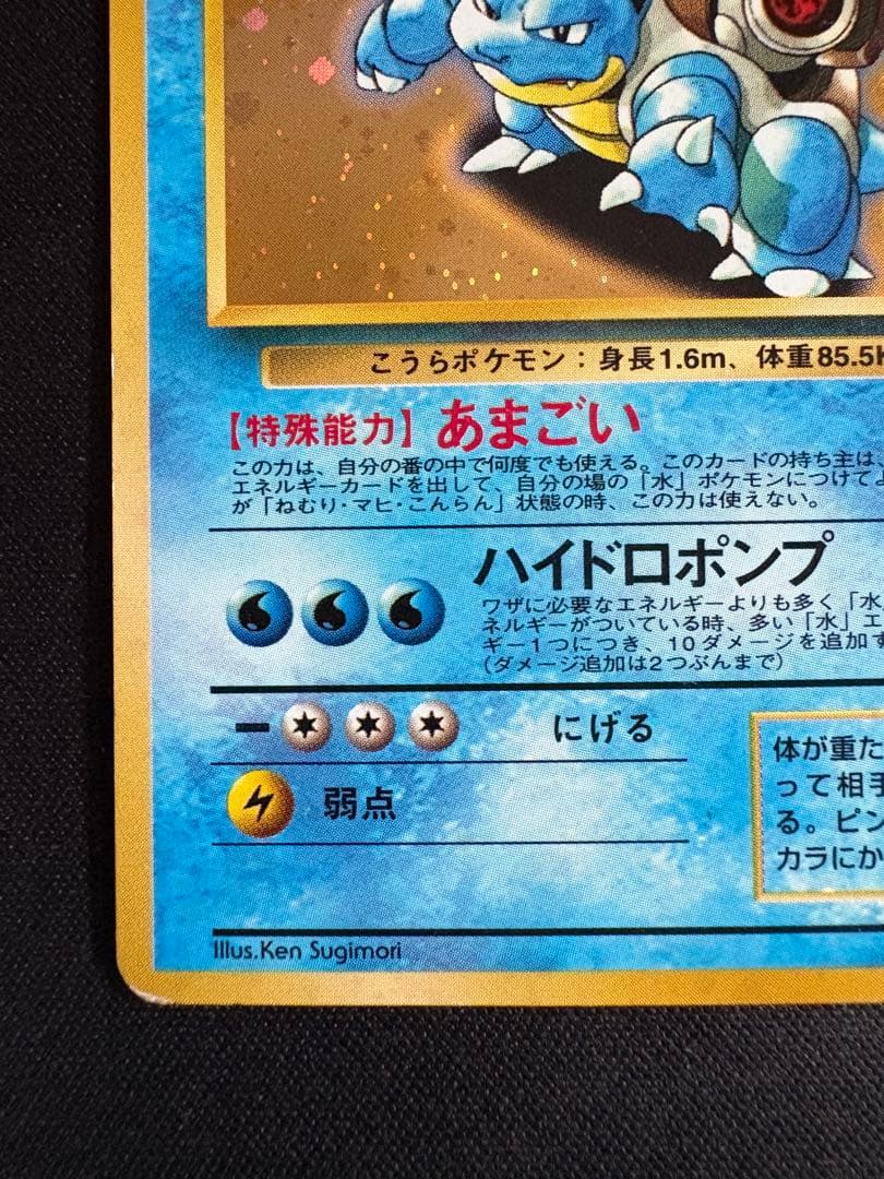 【渦巻きホロ】カメックス_「とりかえっこプリーズ」 キャンペーンカード プロモ