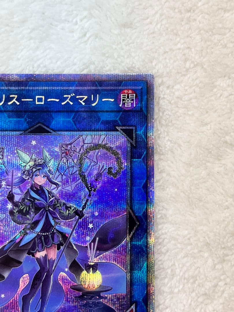 遊戯王　アロマリリスーローズマリー　25th