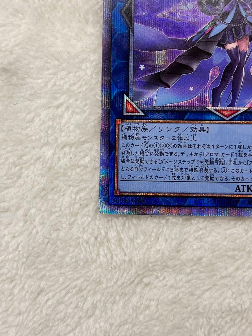 遊戯王　アロマリリスーローズマリー　25th