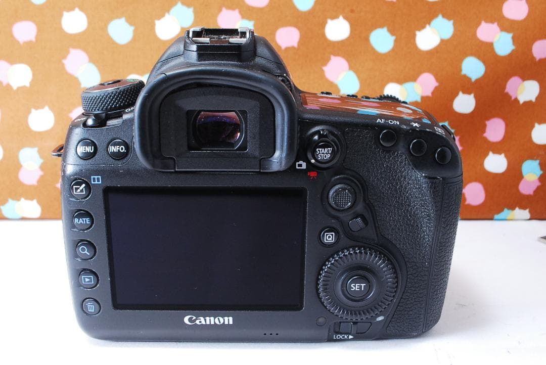 ✨ハイスペック機✨超高性能✨Canon 5D Mark Ⅳ