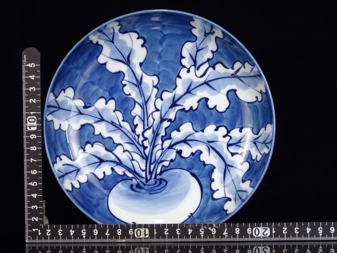 有田焼　館林源右衛門　染濃　根菜図　組皿　中皿　5客　向付　5客　計10客　共箱