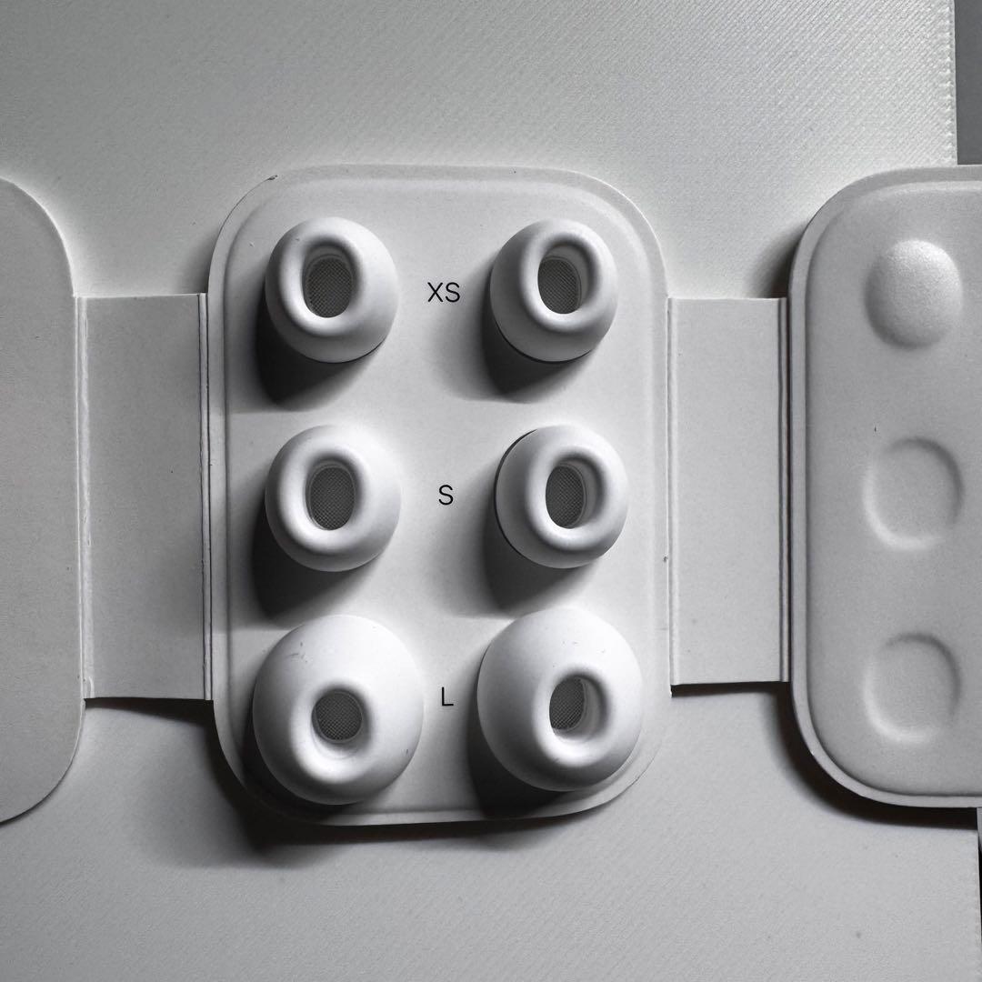 AirPods Pro 2（USB-Cモデル）+AZLAイヤーチップ＆黒ケース付