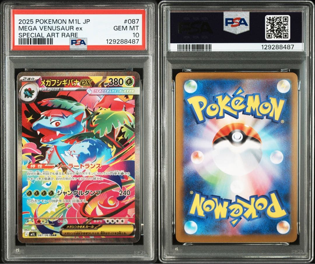 ☆PSA10☆進化ライン フシギダネ フシギソウ メガフシギバナex SAR