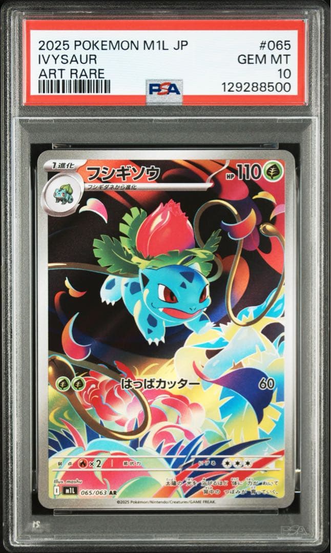 ☆PSA10☆進化ライン フシギダネ フシギソウ メガフシギバナex SAR