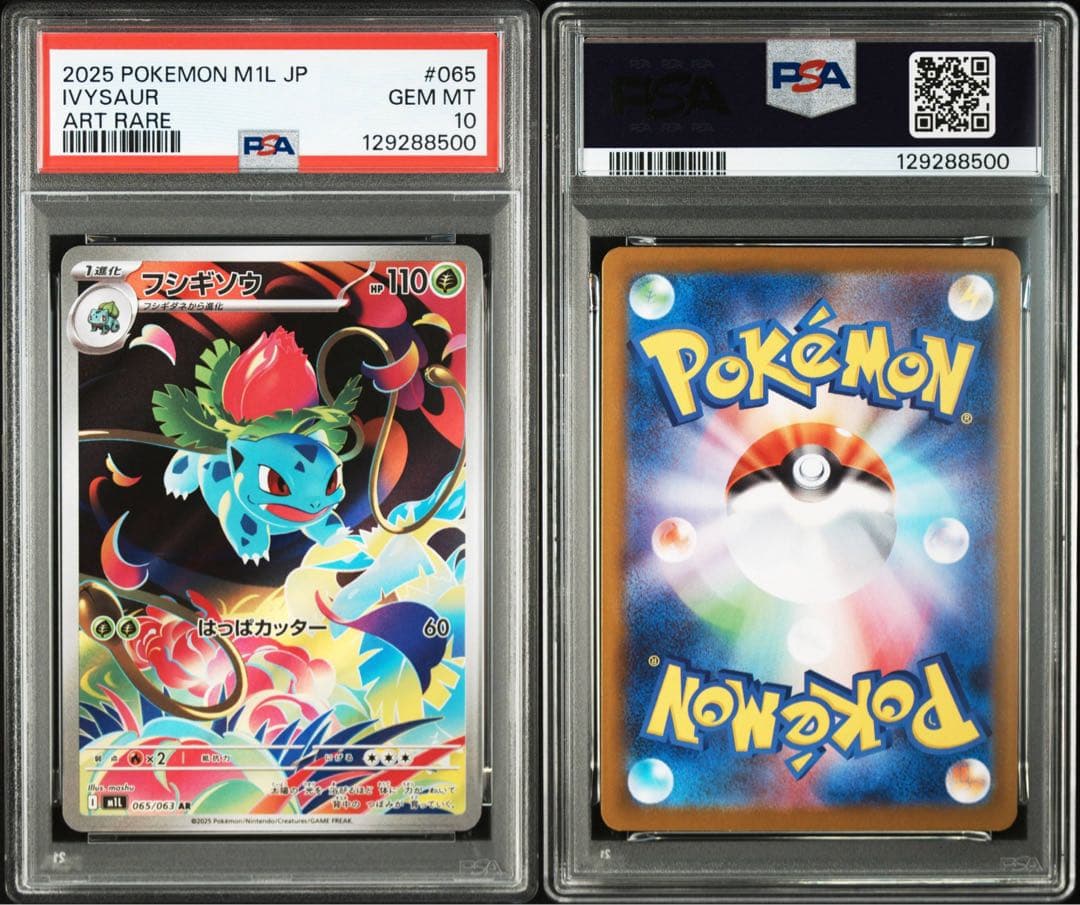 ☆PSA10☆進化ライン フシギダネ フシギソウ メガフシギバナex SAR