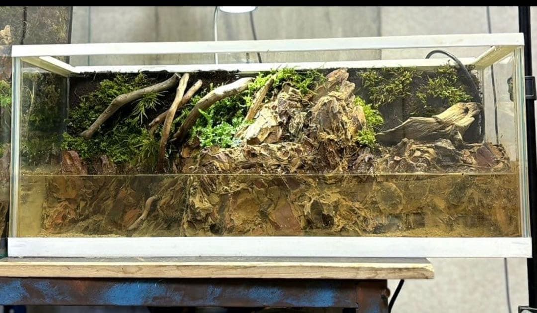 滝の流れるアクアテラリウム　イモリウム