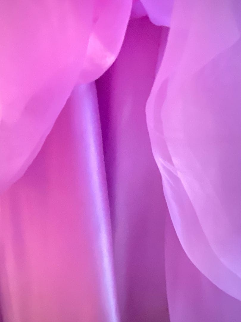 ラムネ　ベリージェネ　パールワイドカラードレス＆リトルピアニスト２３センチ