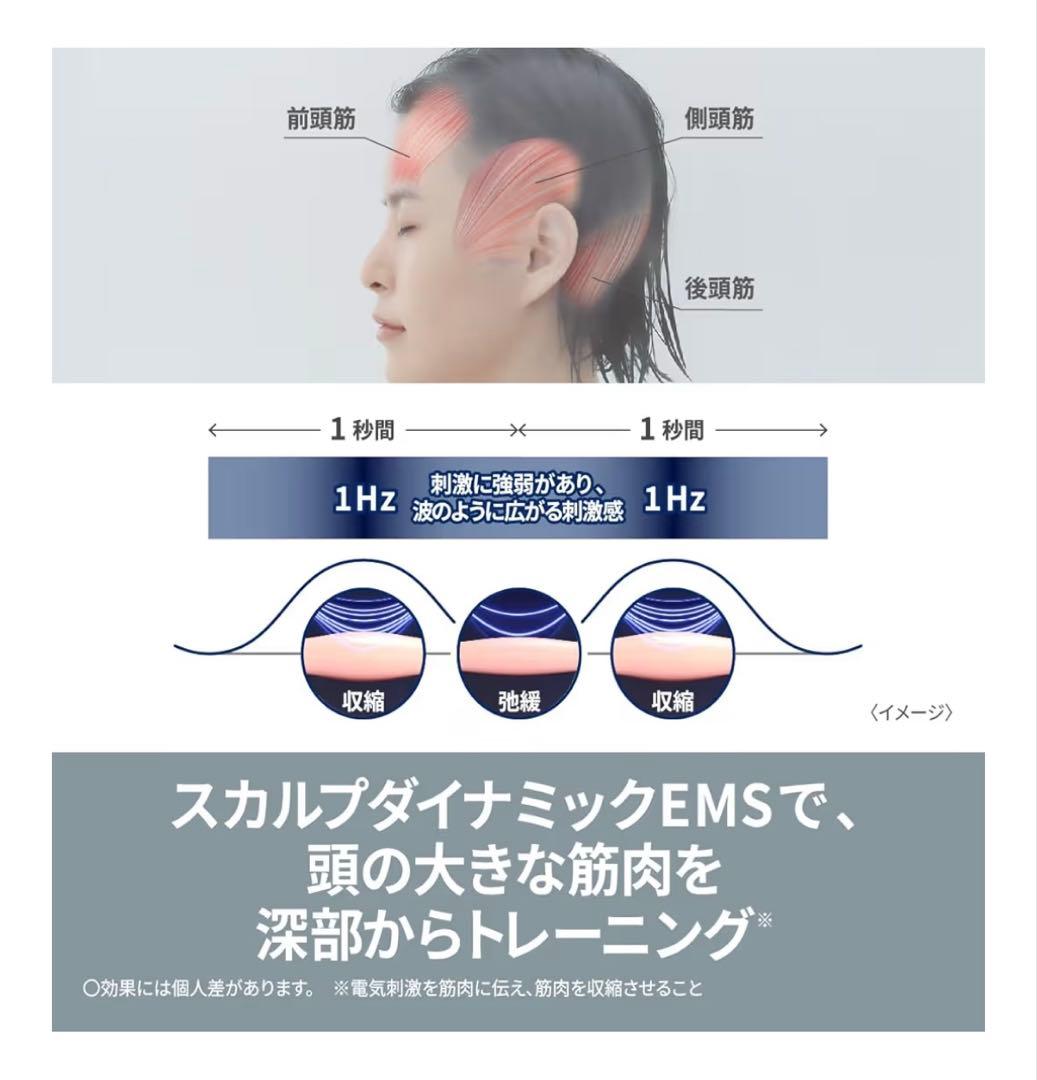 Panasonic バイタリフトブラシ