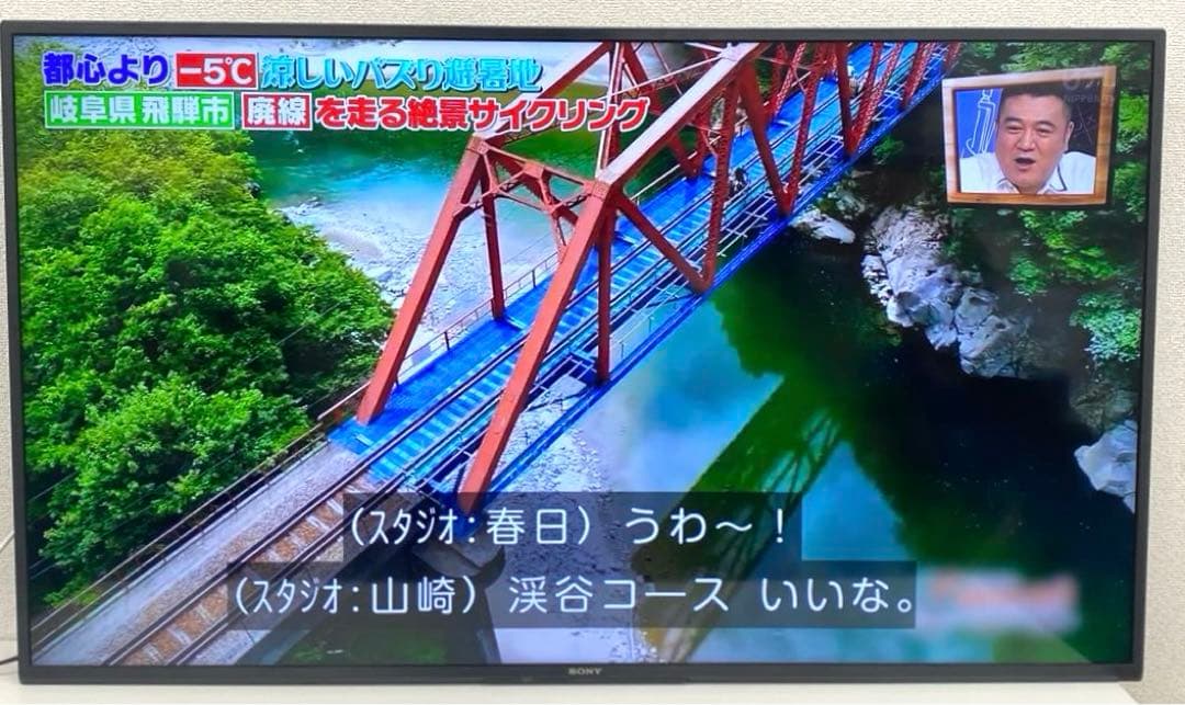 SONY ソニー KJ-50X80J 4K液晶テレビ 2021年製