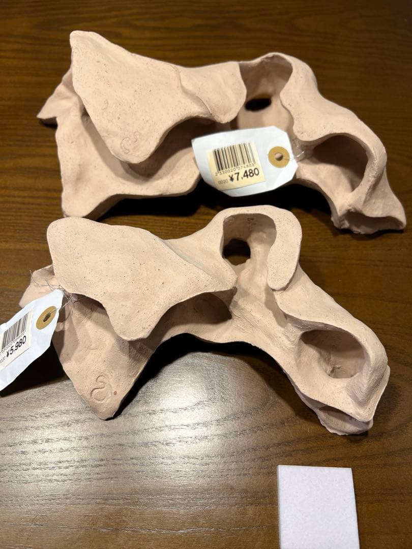 価格相談可）シェルタクラフタ　2個