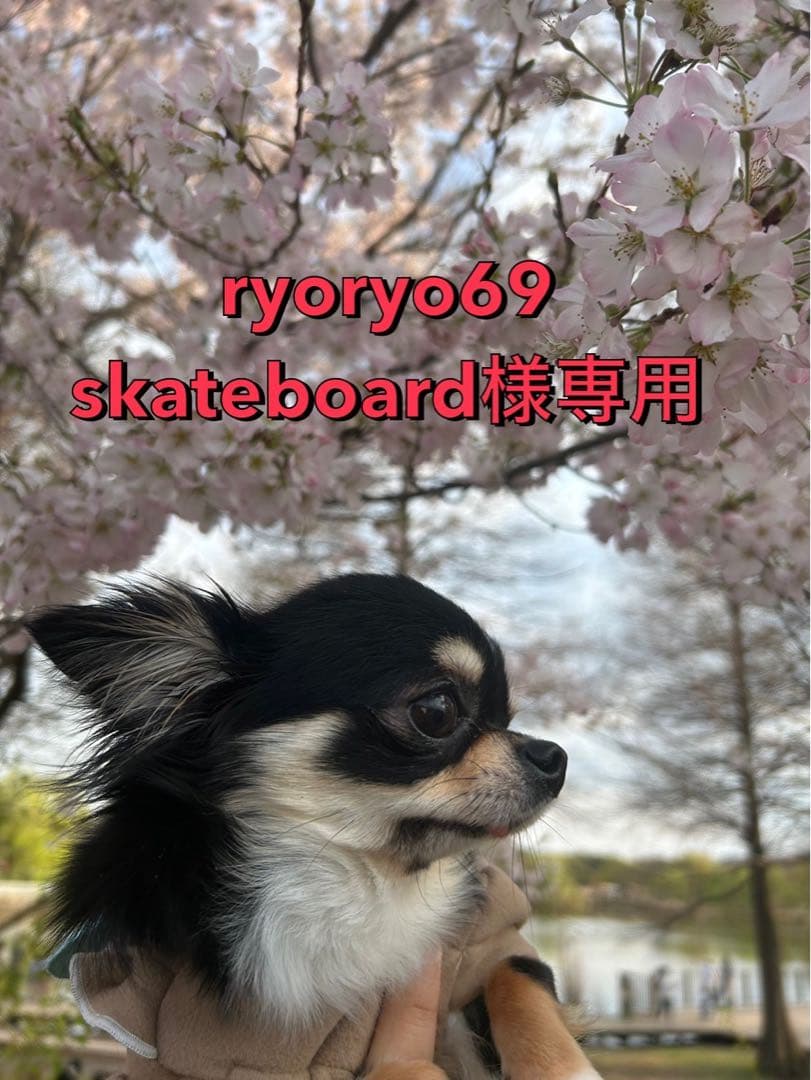 ryoryo69 skateboard 【クロムハーツ】