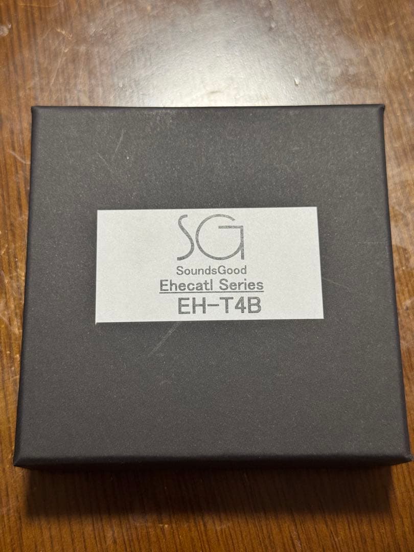 イヤホン SoundsGood Ehecatl 4.4mm CIEM 2pin