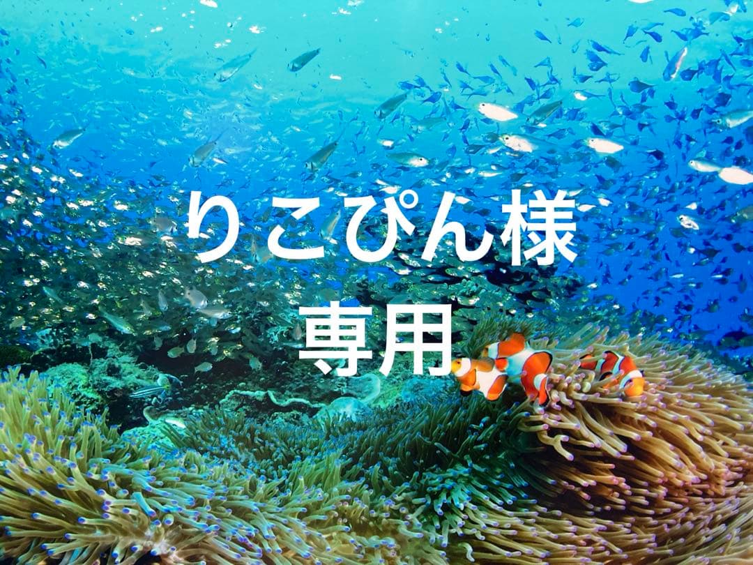 エンビロンモイスチャージェル2 Aブーストセラムインテンス