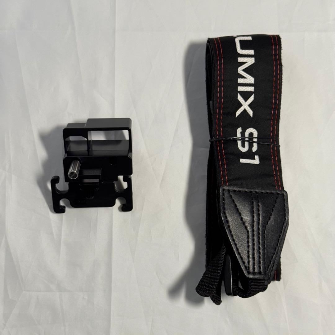 Panasonic Lumix S1 フルサイズミラーレス一眼