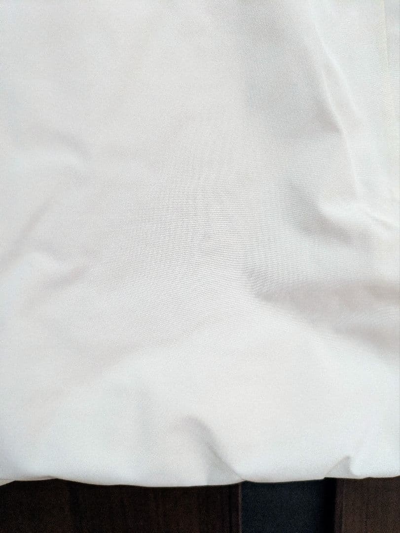 ウィメンズ BurtonピローラインGORE-TEX 2L　23-24　Lサイズ