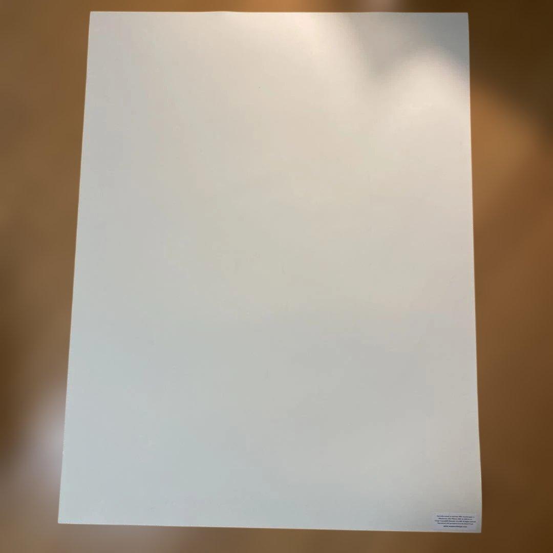 アレクサンダー・ジラード　アレキサンダー・ジラード　デッドストック　ポスター