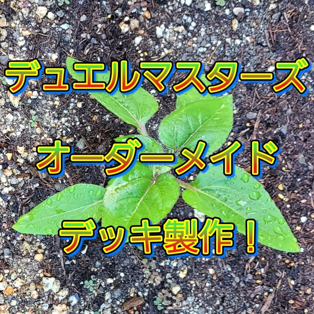 デュエルマスターズ　オーダーメイド　デッキ製作！