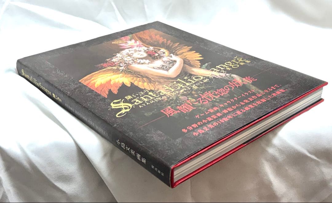 [美品] 小島文美 画集 -Santa Lilio Sangre- 緋いユリ
