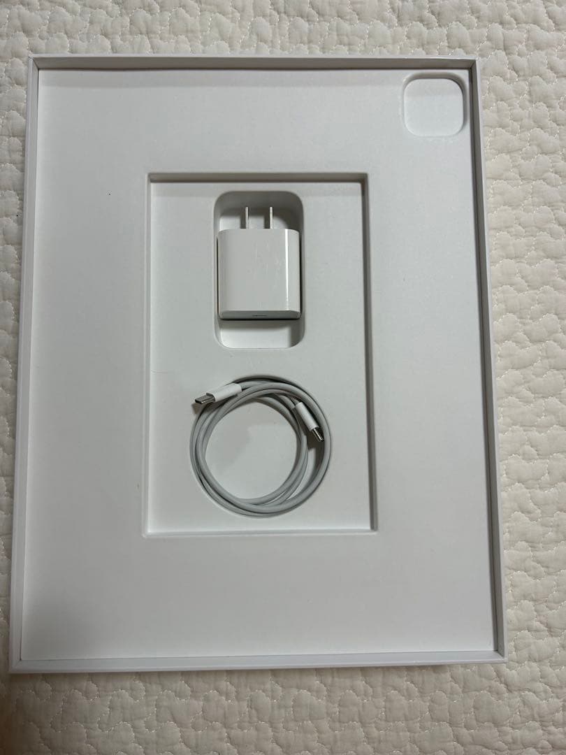 iPad Pro 12.9インチ (第4世代) 512GB Wi-Fiモデル