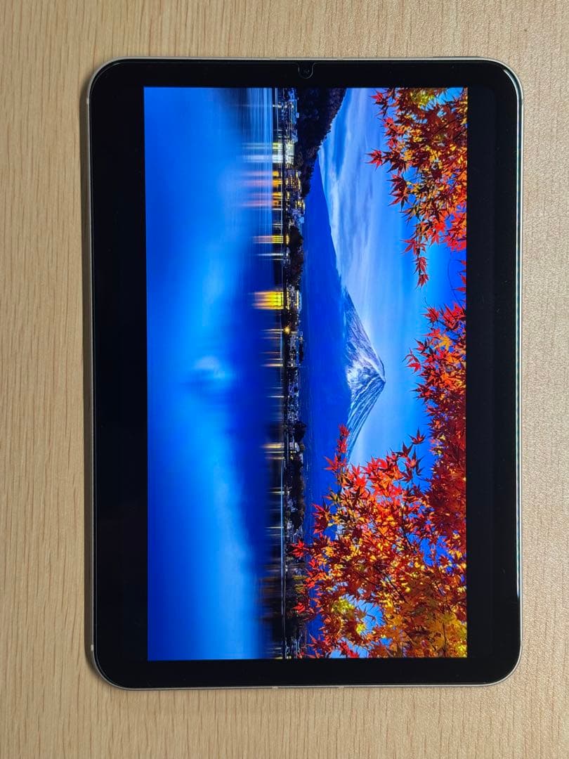 iPad mini 第7世代128GB Cellular+WiFi スターライト